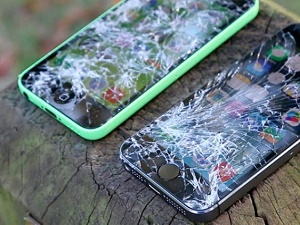 ��� �������� �������� �� �����������?