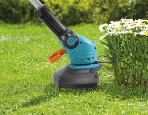 �������� ��� �����