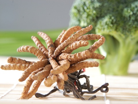 	��� ������������ ����� ��������� ���������?