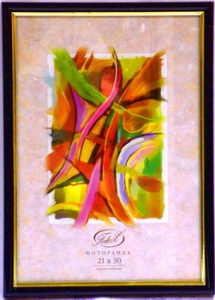 ��������� FOTEX PREMIUM 10�15 589-4 (������) (48)