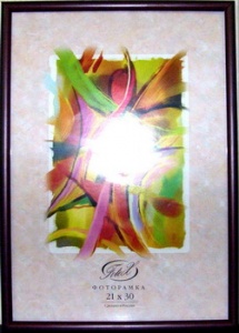 ��������� FOTEX PREMIUM 10�15 689-4 (������) (48)