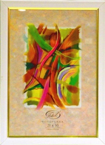 ��������� FOTEX PREMIUM 10�15 781-4 (������) (48)