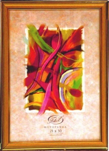 ��������� FOTEX PREMIUM 13�18 270(286)-5 (�����) (24)