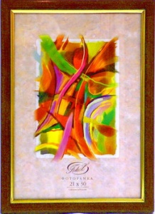 ��������� FOTEX PREMIUM 15�20 787-6 (���) (24)