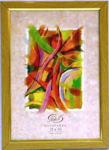 ��������� FOTEX PREMIUM 10�15 786-4 (�����) (48)