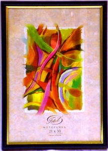 ��������� FOTEX PREMIUM 13�18 589-5 (������) (24)