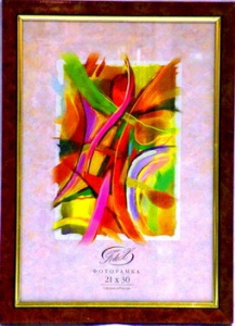 ��������� FOTEX PREMIUM 10�15 780-4 (���������� ������) (48)