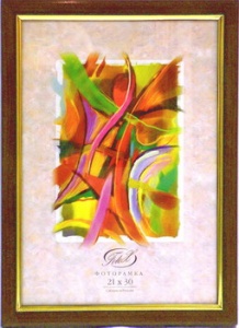 ��������� FOTEX PREMIUM 10�15 787-4 (���) (48)