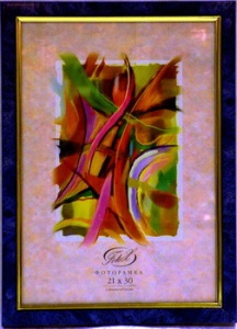 ��������� FOTEX PREMIUM 10�15 784-4 (������) (48)