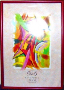 ��������� FOTEX PREMIUM 21�30 (����-�������� �������� 5�) (24)