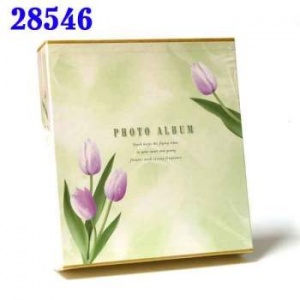 ���������� ARISTA 10*15 120� 6252/24