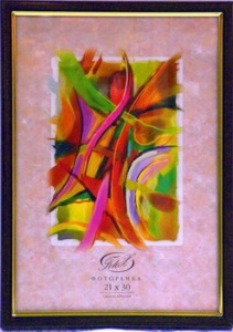 ��������� FOTEX PREMIUM 21�30 687-9 (���) (24)