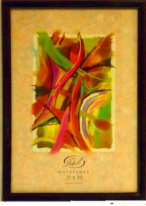 ��������� FOTEX PREMIUM 10�15 019(189)-4 (������) (48)