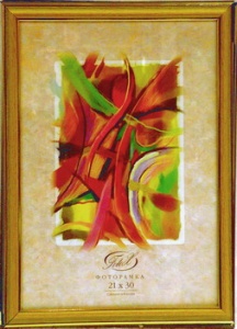 ��������� FOTEX PREMIUM 10�15 270(286)-4 (�����) (48)