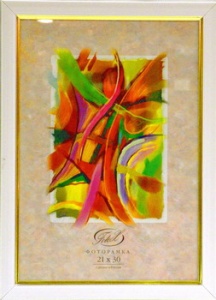 ��������� FOTEX PREMIUM 21�30 781-9 (������) (24)