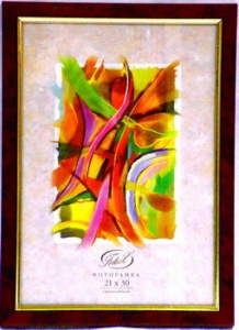 ��������� FOTEX PREMIUM 21�30 783-9 (����) (24)