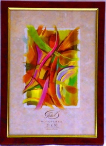 ��������� FOTEX PREMIUM 10�15 783-4 (����) (48)