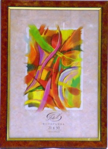 ��������� FOTEX PREMIUM 13�18 780-5 (���������� ������) (24)