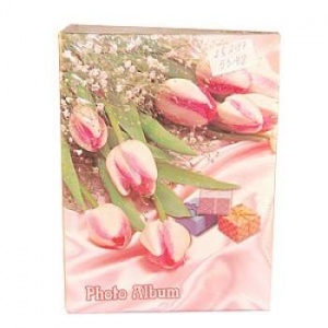 ���������� 10*15 04A-16-17/108